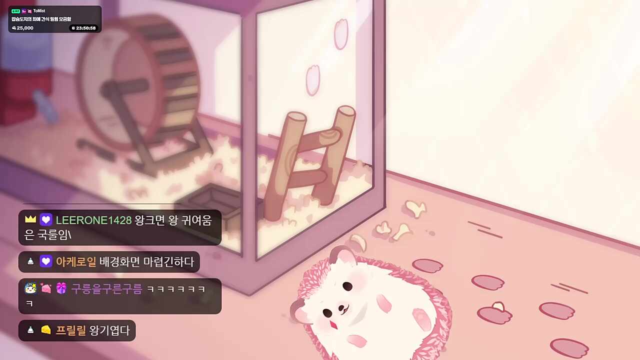 사진용(캡처화면)