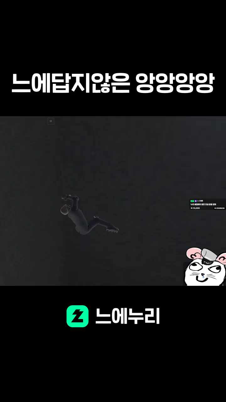 느에답지않은 앙앙앙앙