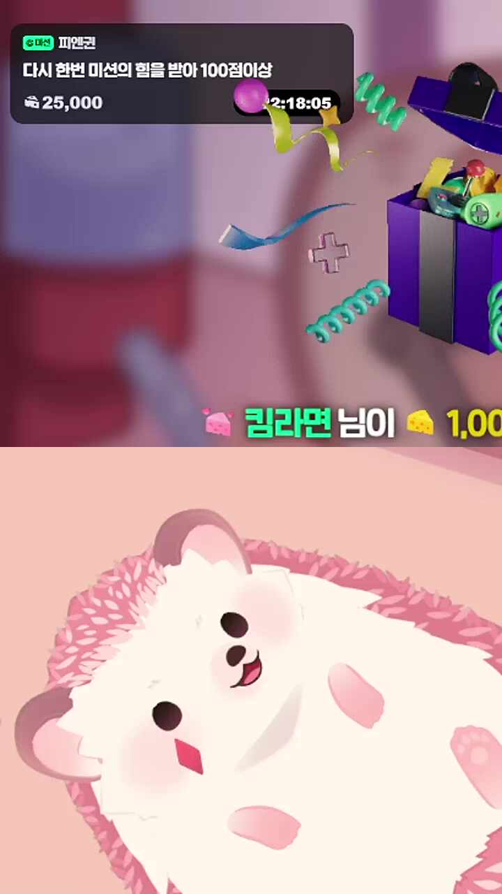안해 이씨