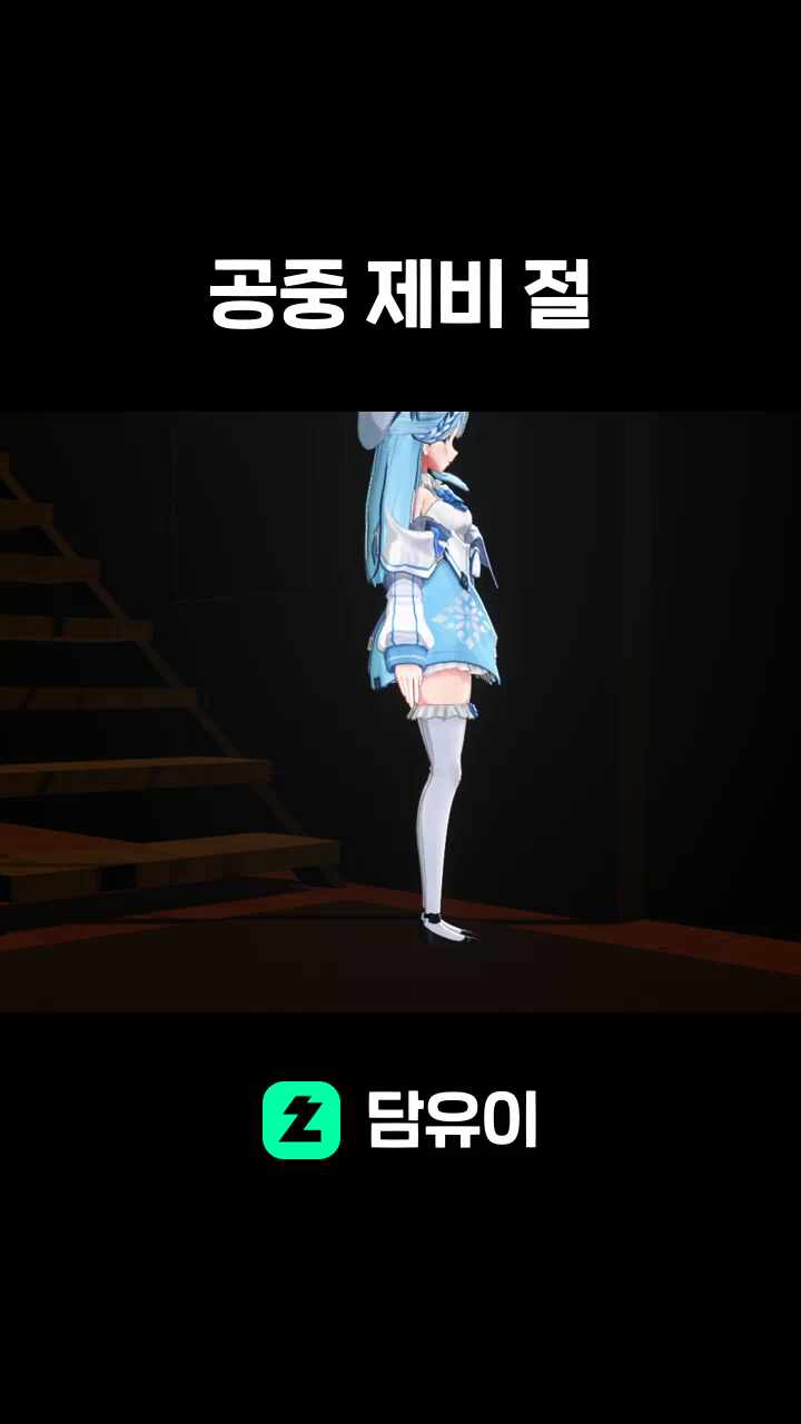 공중 제비 절