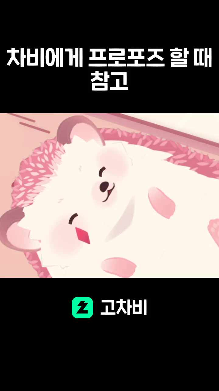 차비에게 프로포즈 할 때 참고