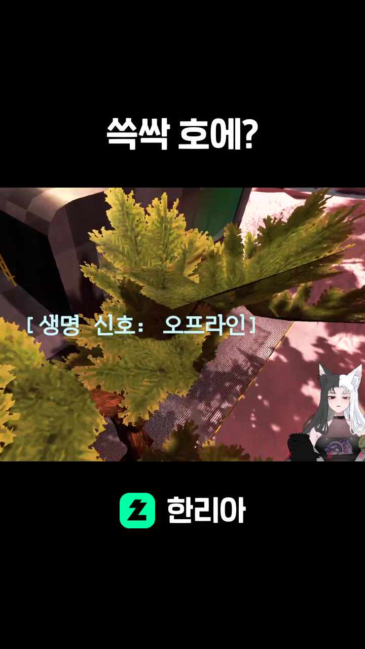 쓱싹 호에?