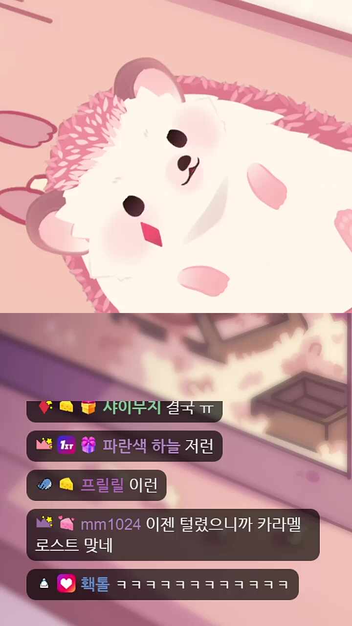 닥터 찹루르크