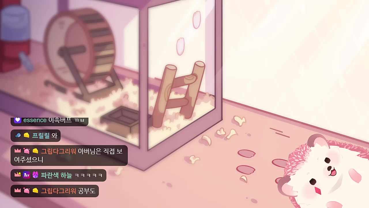 차비님이 컴공을 가게된 이유