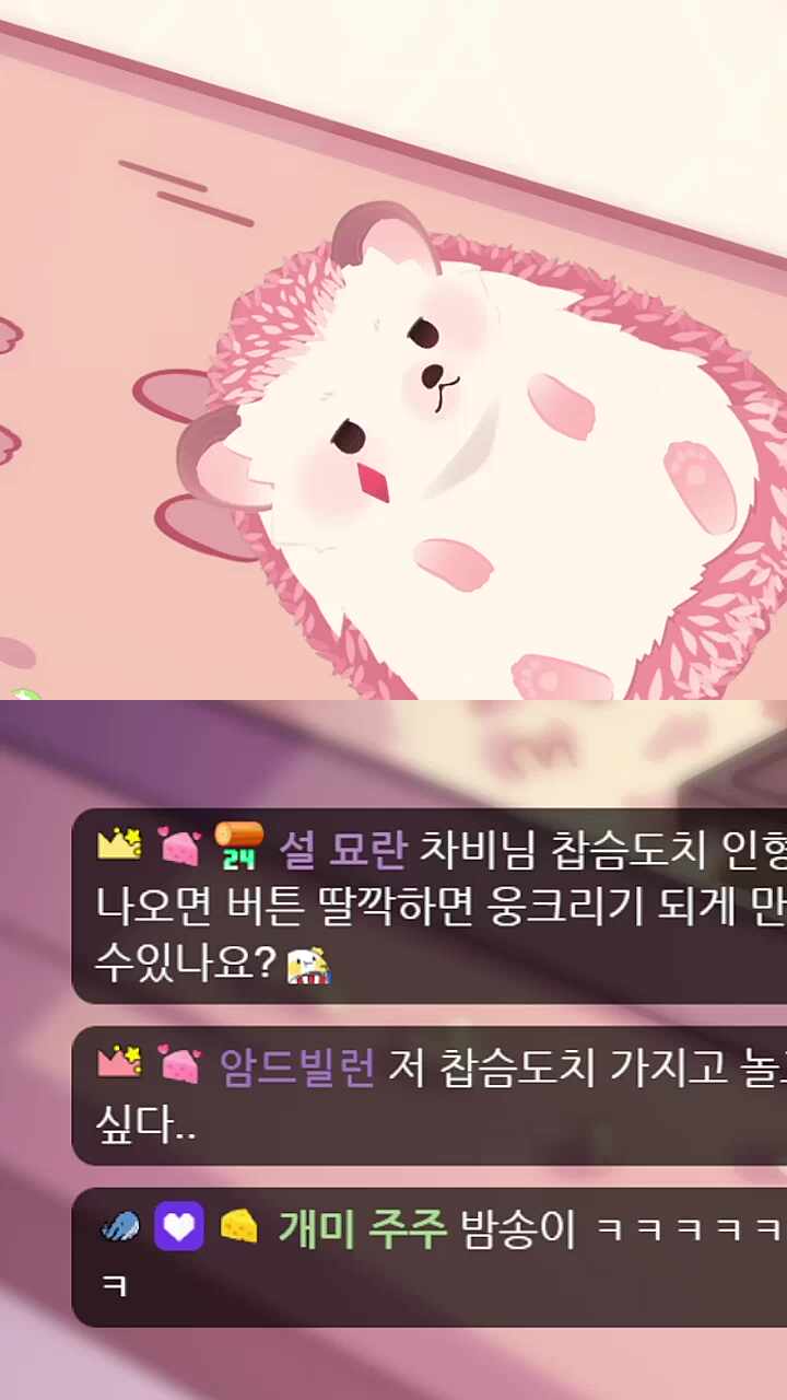 찹슴도치 쓰담쓰담