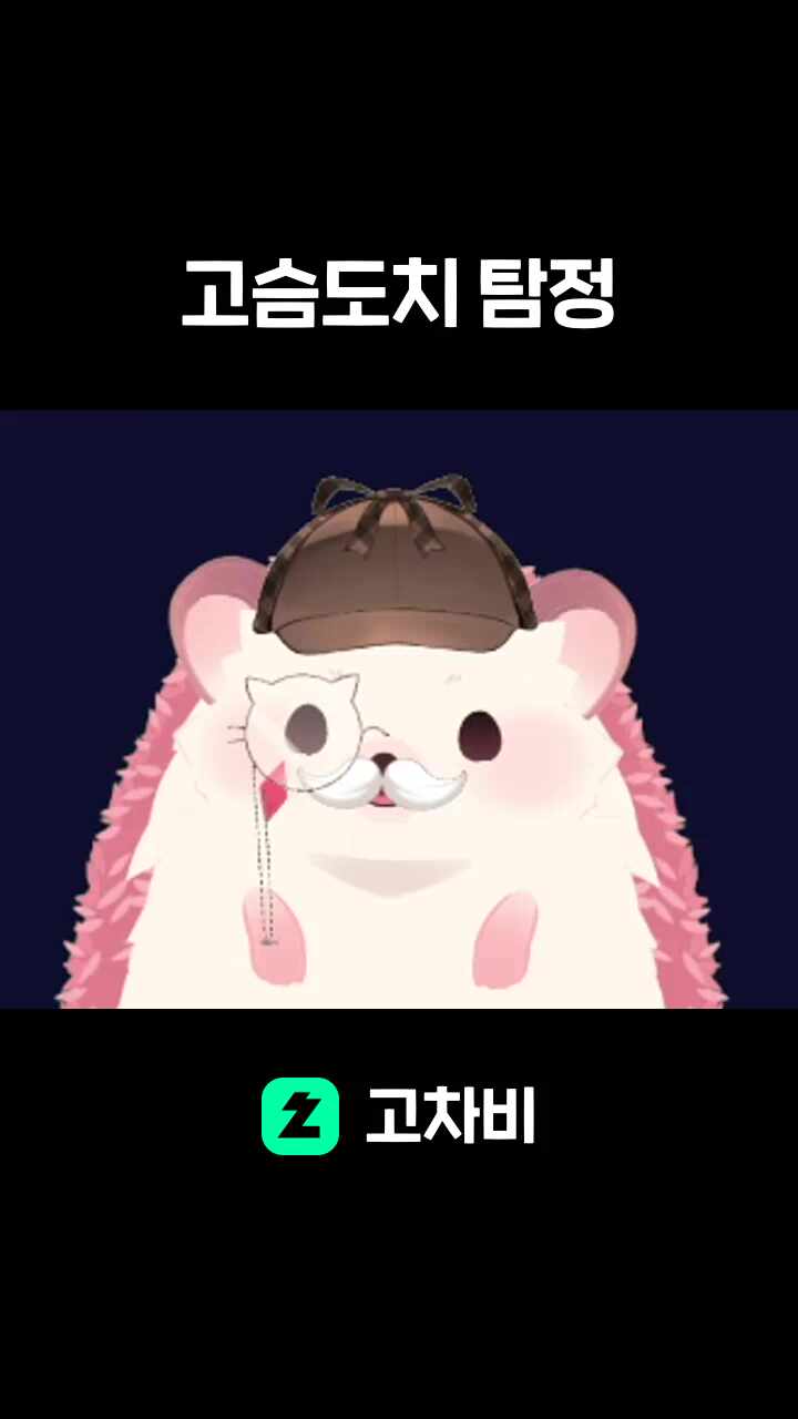 고슴도치 탐정