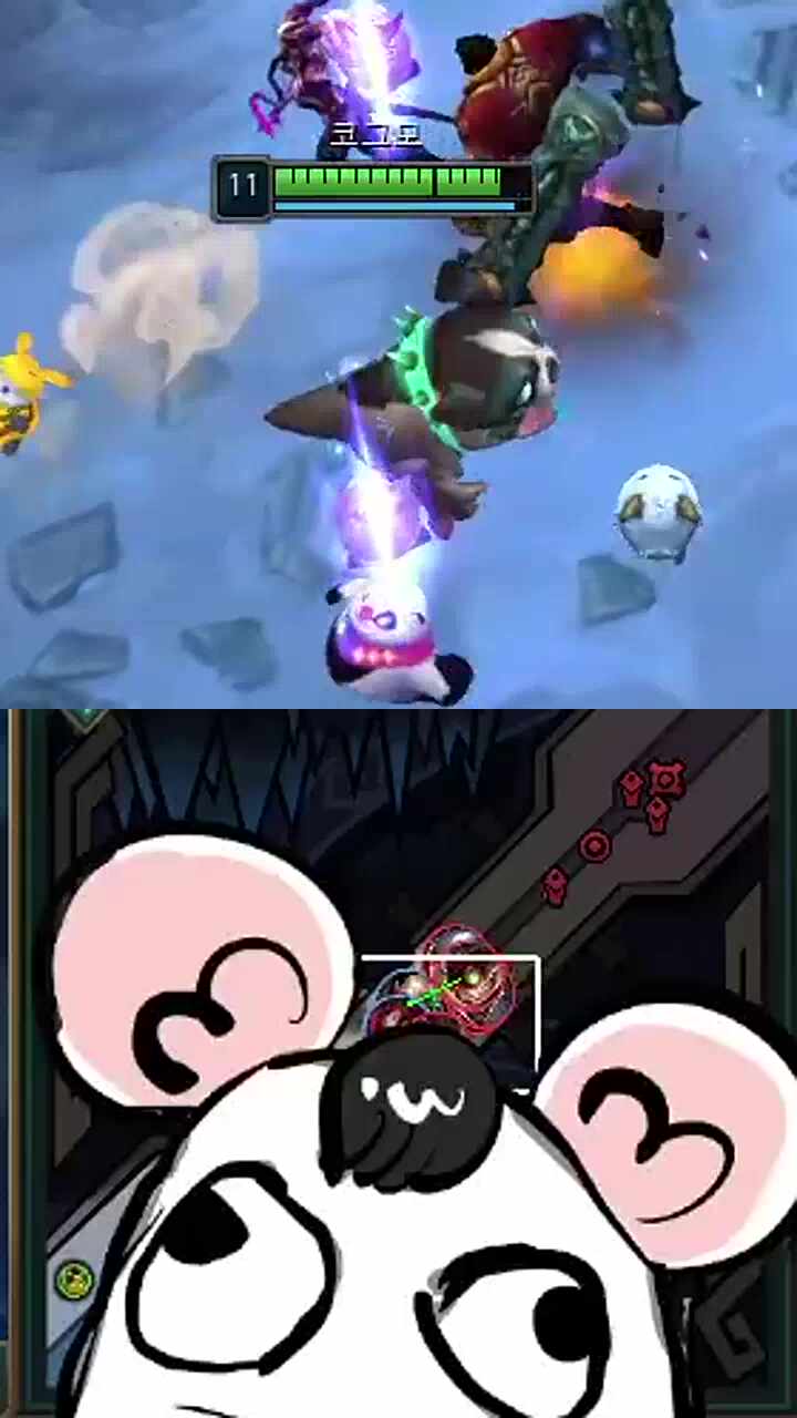 아르르르ㅡ 왈왈