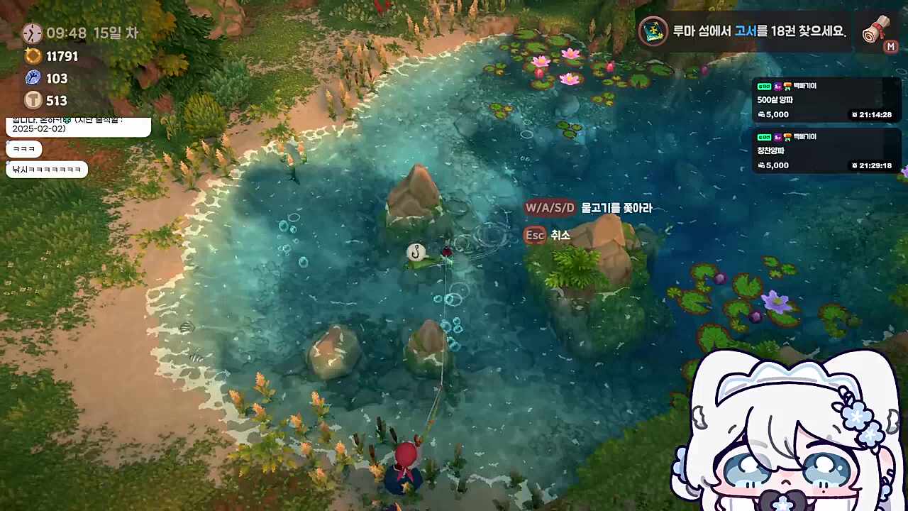 가리비 찾는 온가리비