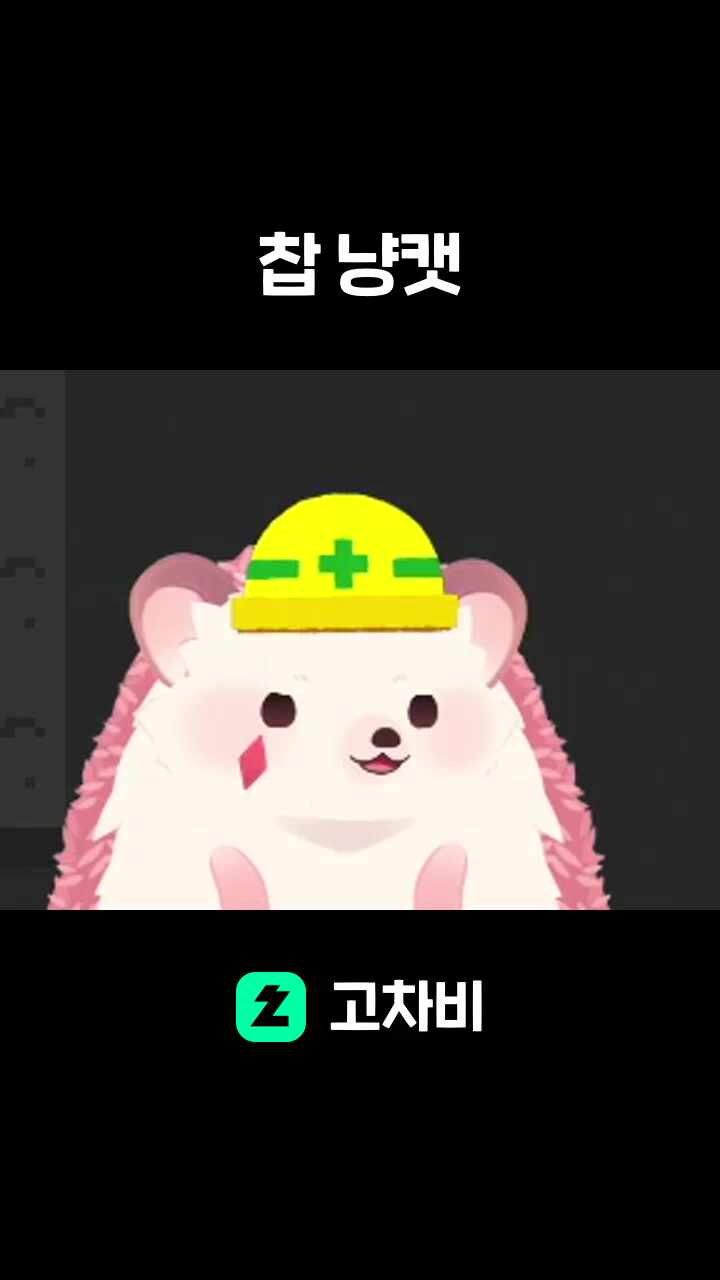 찹 냥캣