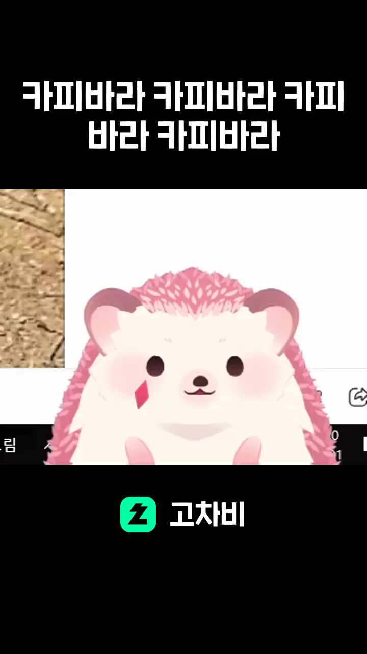 카피바라 카피바라 카피바라  카피바라