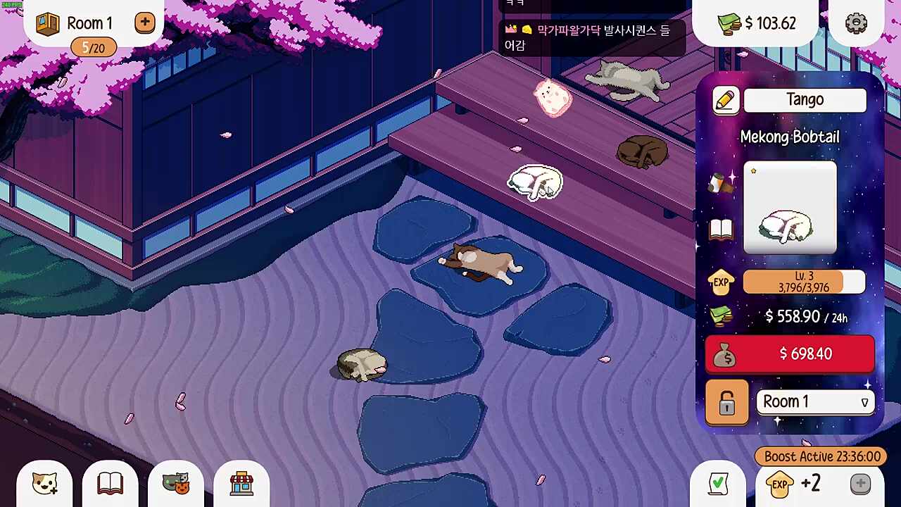 미야옹 미야옹 미?야옹