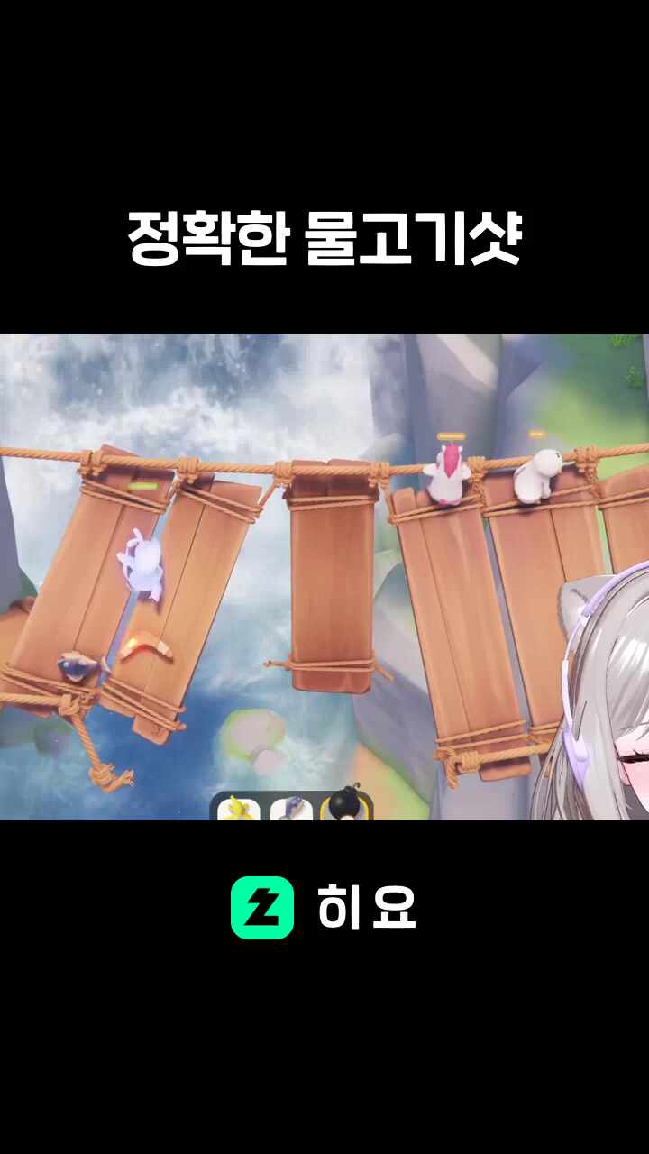 정확한 물고기샷