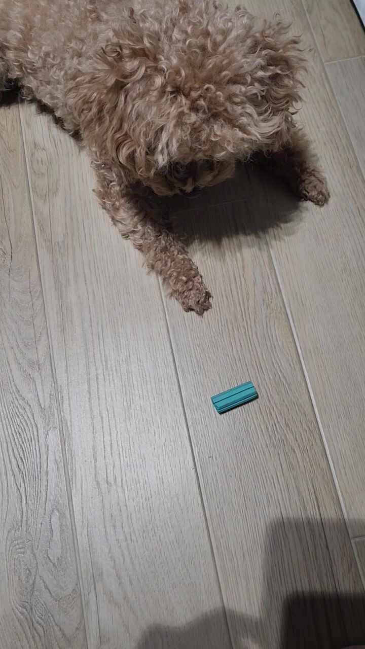 리뷰 사진 1