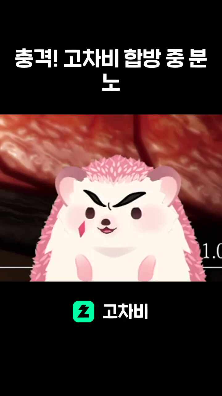 충격! 고차비 합방 중 분노