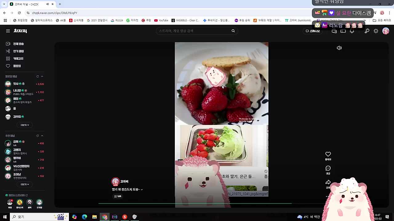 참슴도치를 보는 찹슴도치를 보는 찹슴도치