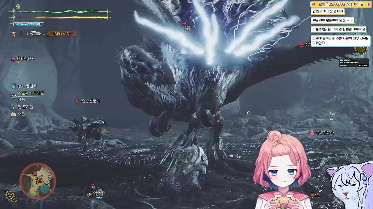 씹어먹지마항냥냥