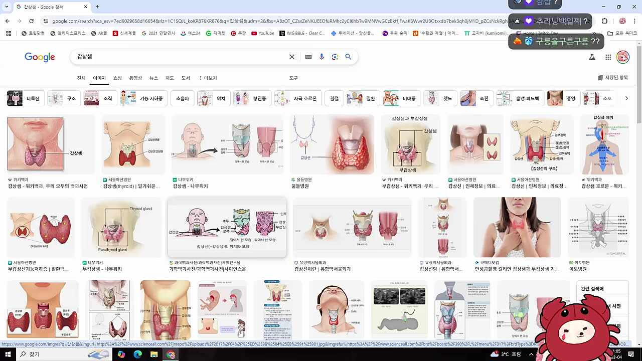 기네스가 된 고차비