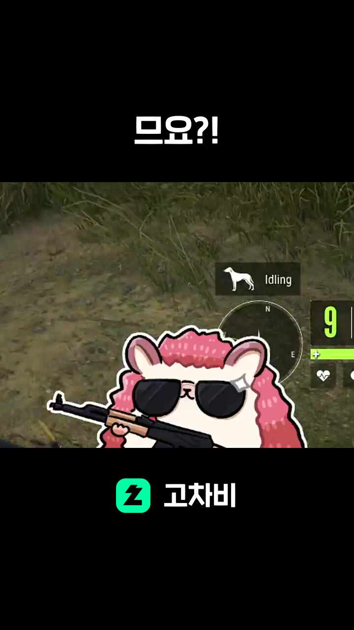 므요?!
