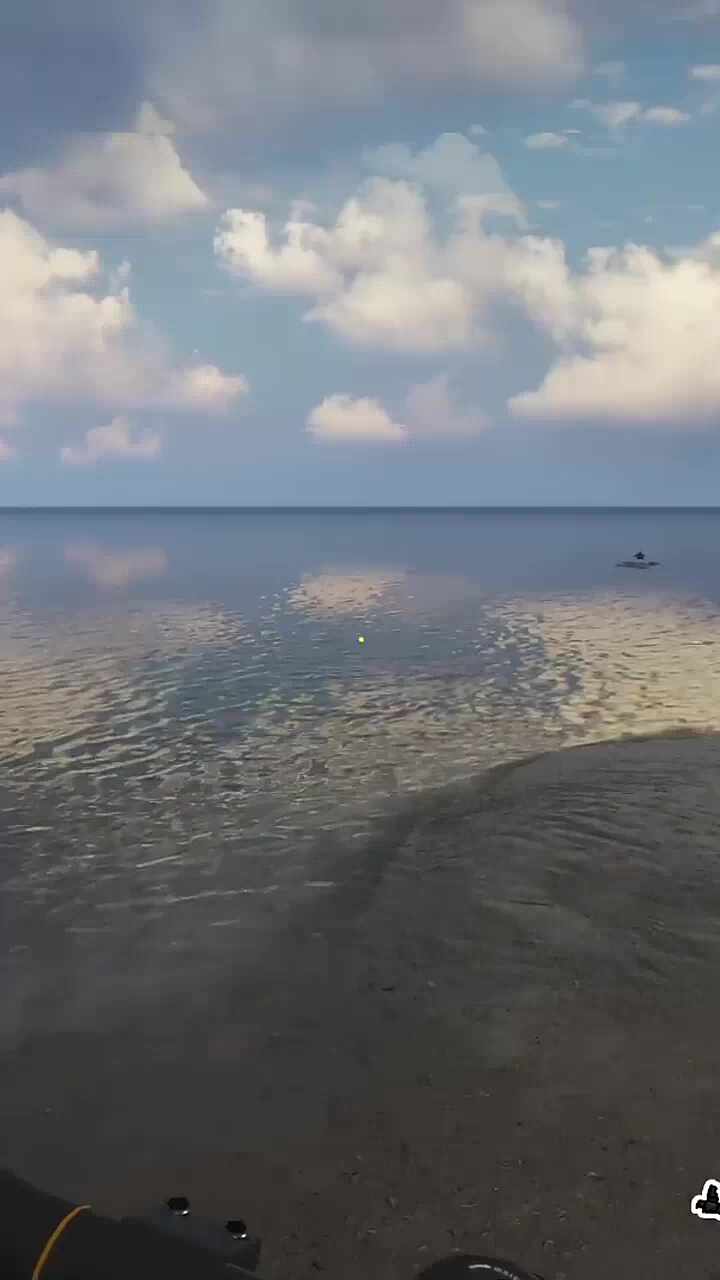 탈주견