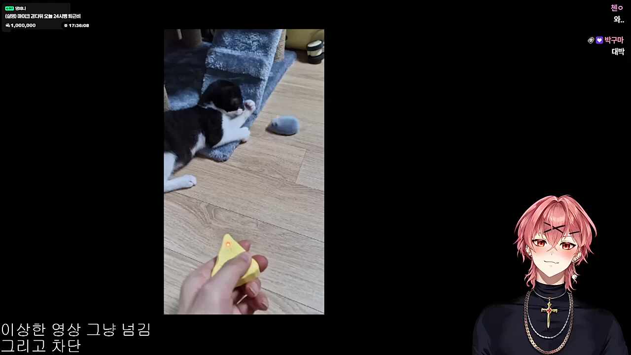 예지력 상승한 하루 ㅋㅋㅋㅋㅋ