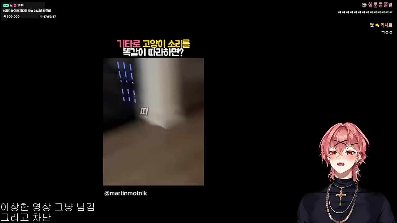 고양이 따라하는 하루🐱