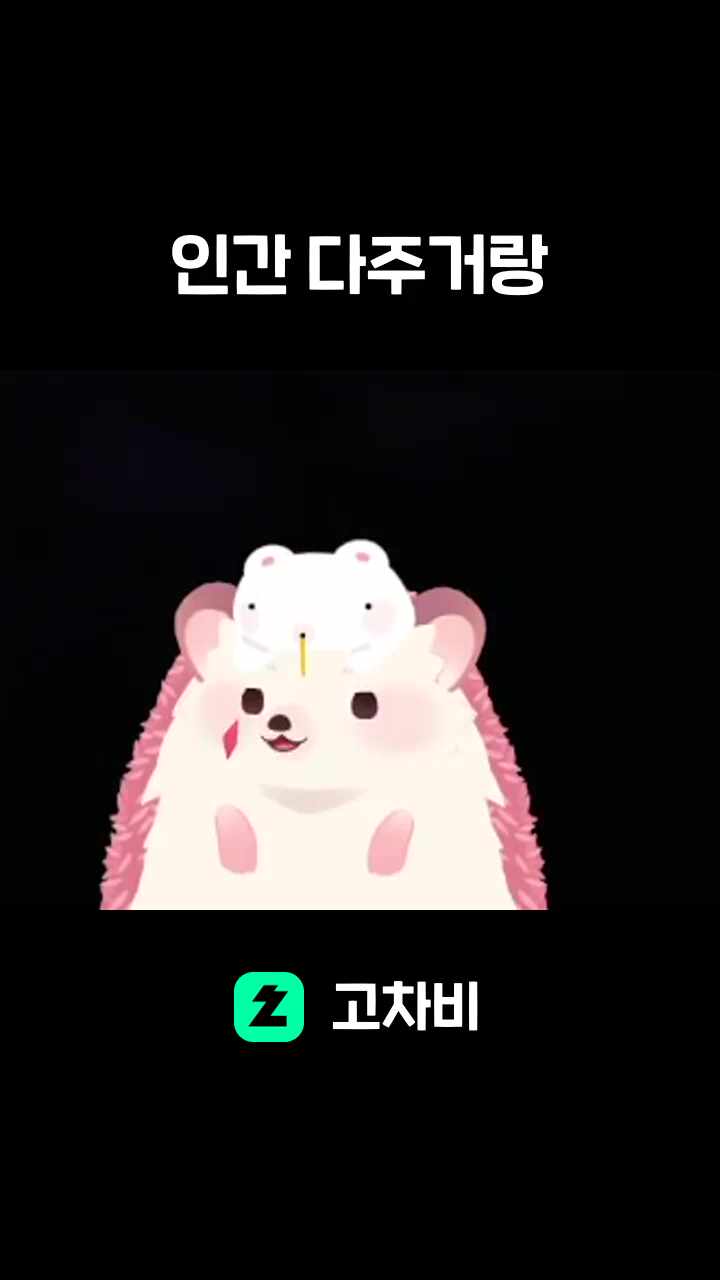 인간 다주거랑