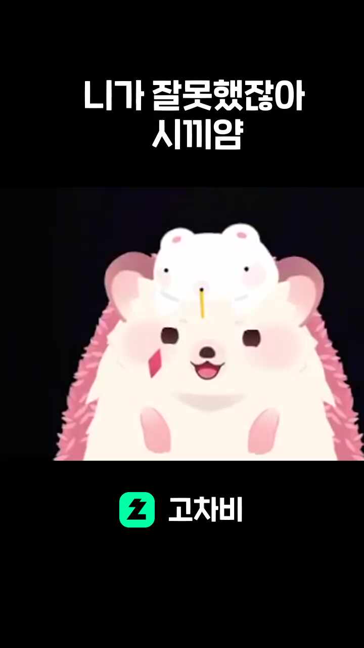 니가 잘못했잖아 시끼얌