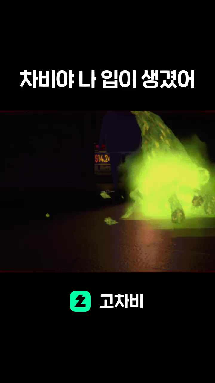 차비야 나 입이 생겼어