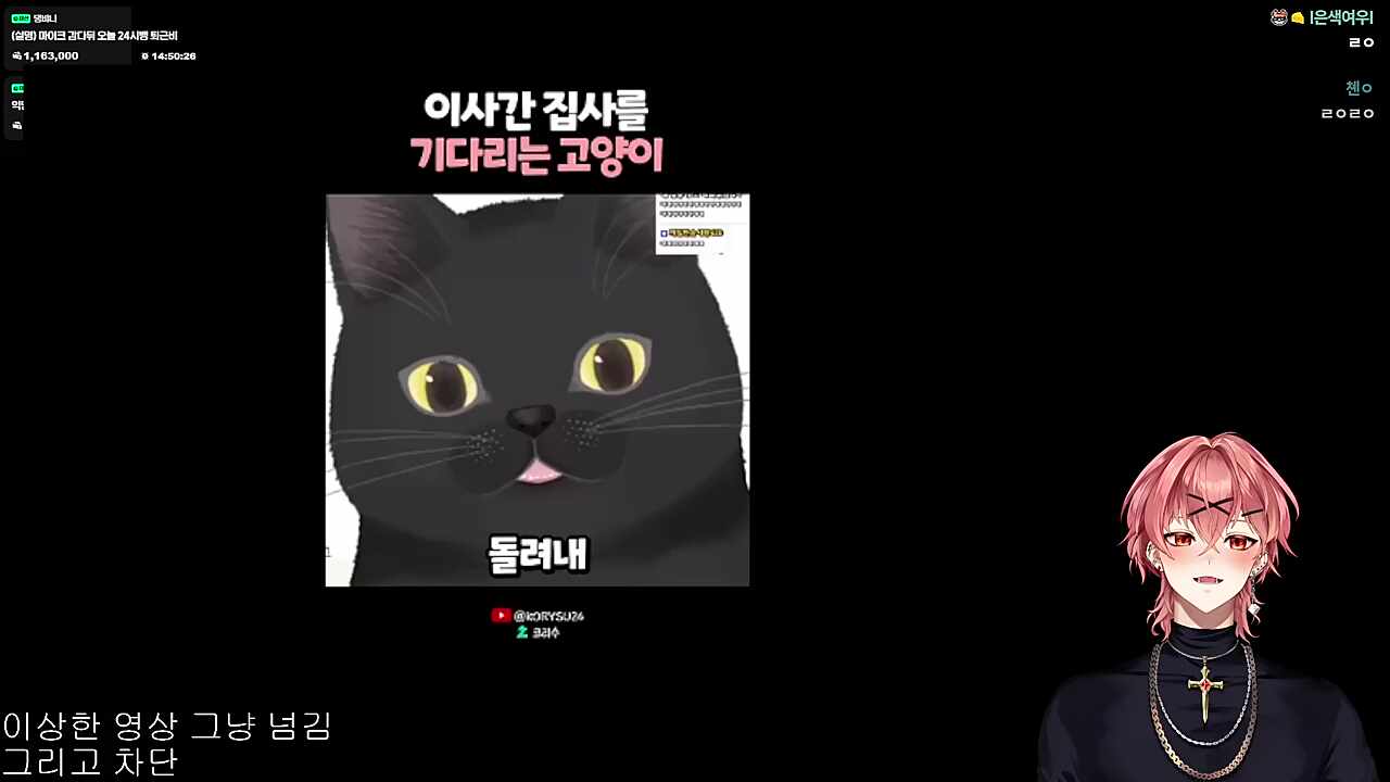 웨옹~🐱