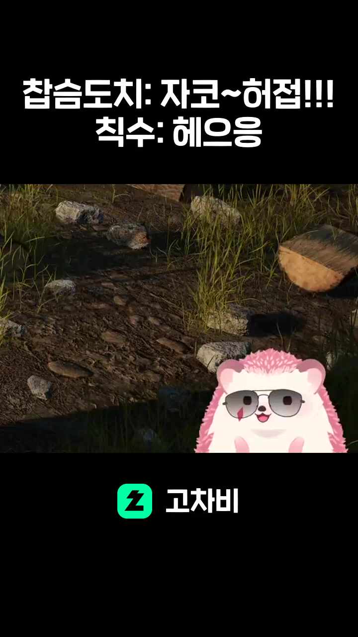 찹슴도치: 자코~허접!!!칙수: 헤으응