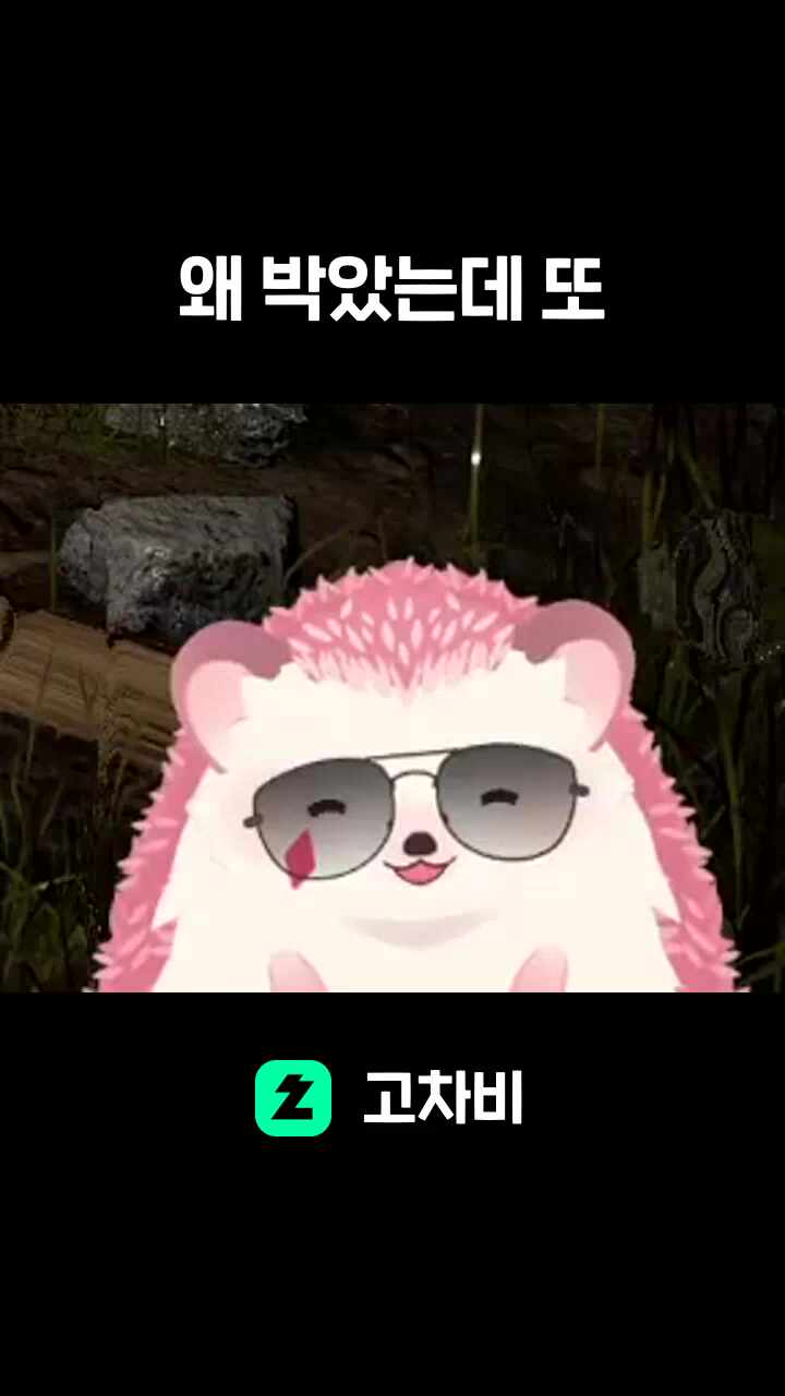 왜 박았는데 또