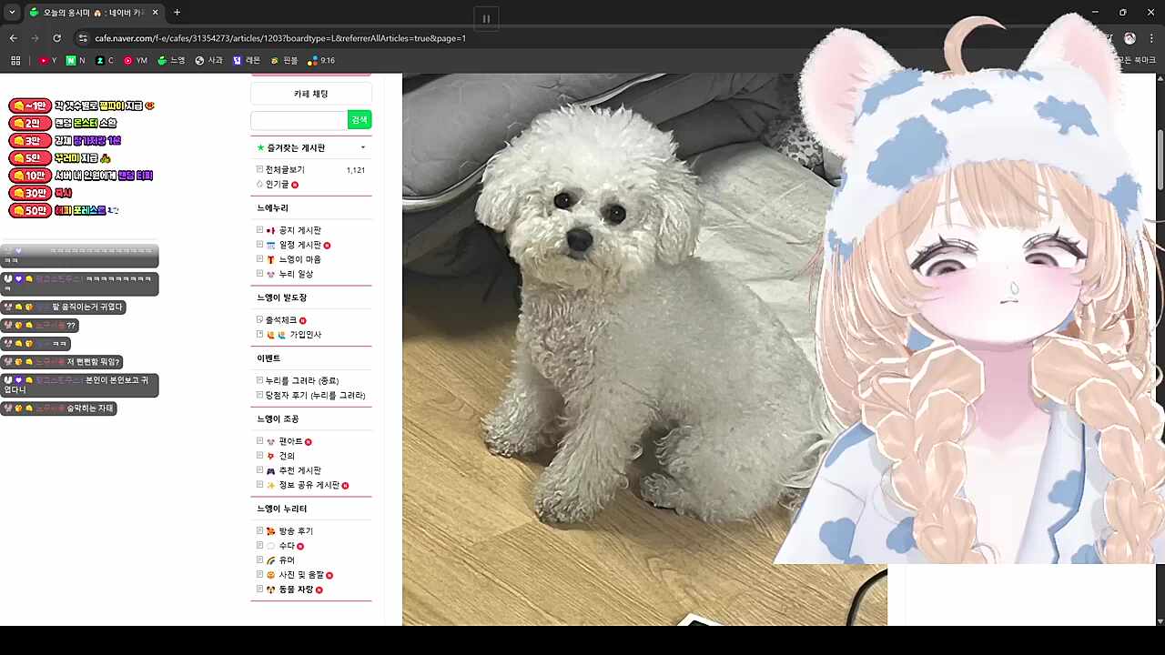 옹심좌 돔황챠~!!!!!!!