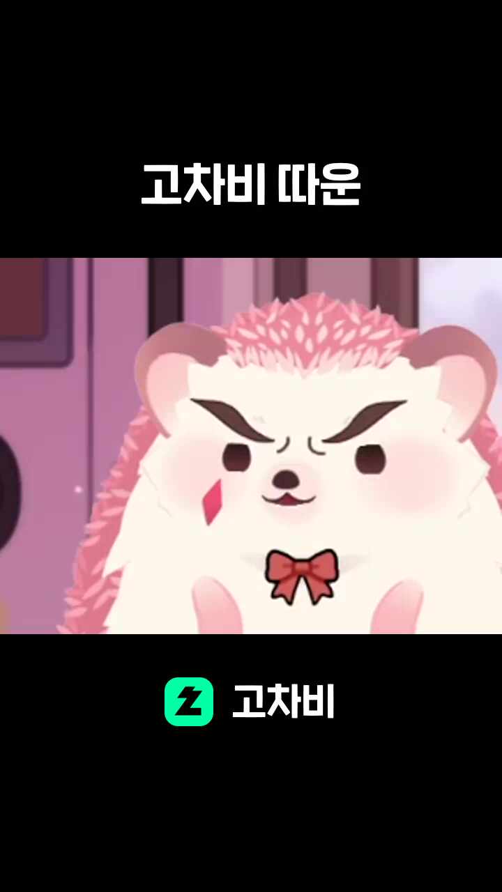 고차비 따운