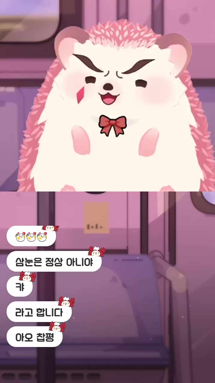 차비님이 눈 다시 붙이라면서요