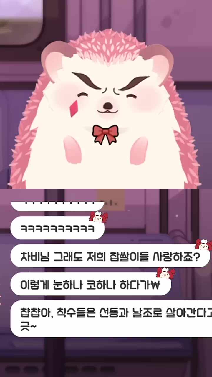 돈톡식 베이비