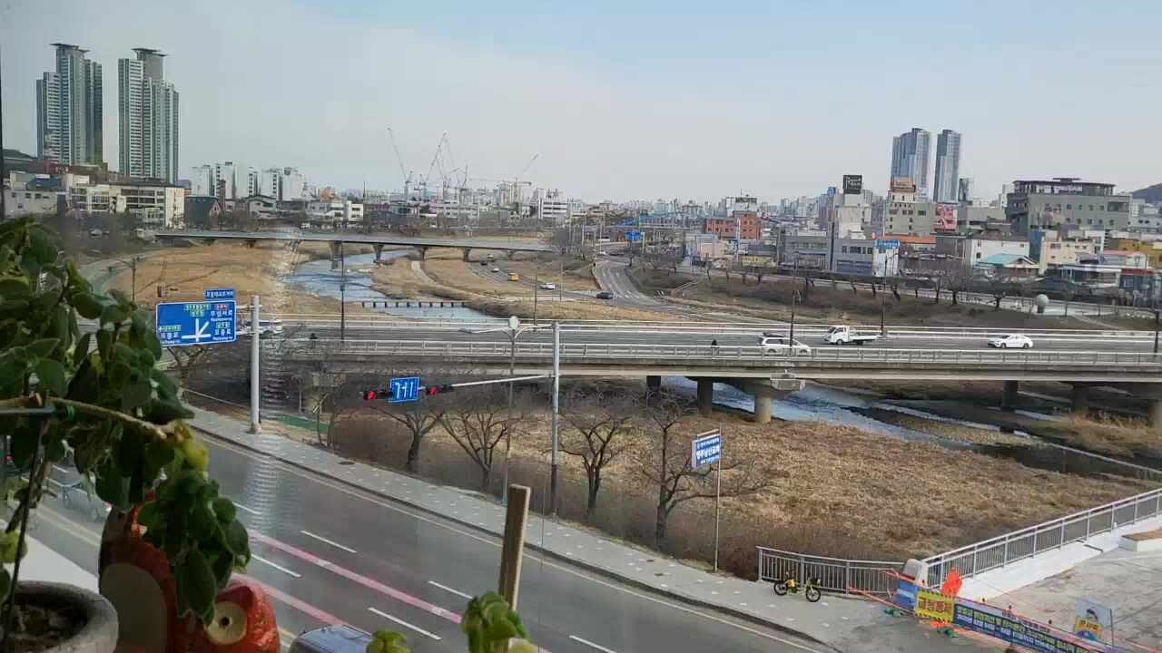 베스트365의원