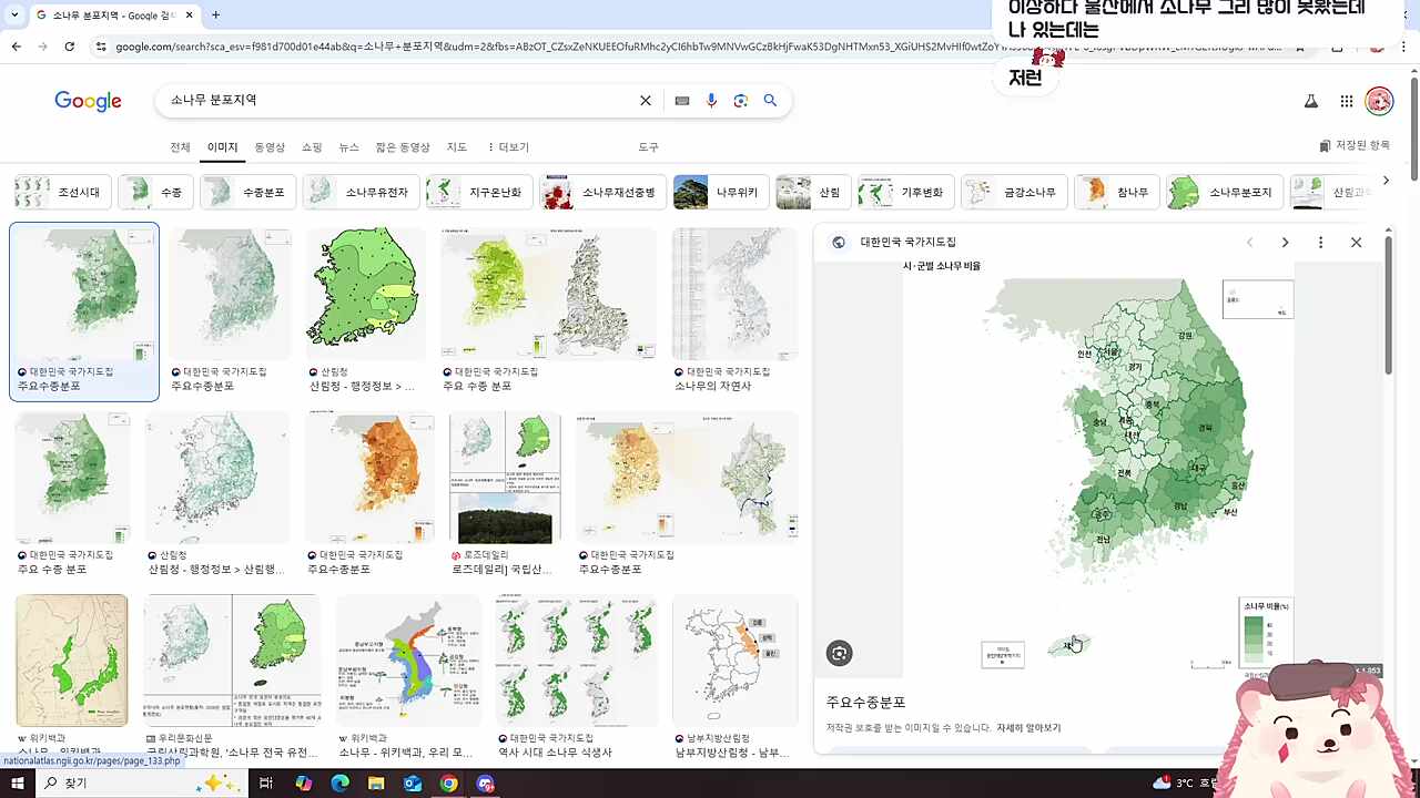 12시엔 신데렐라