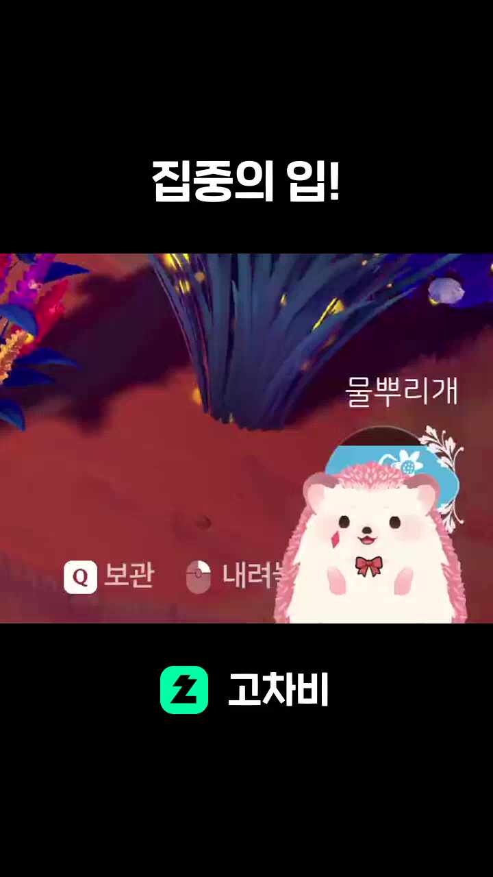 집중의 입!