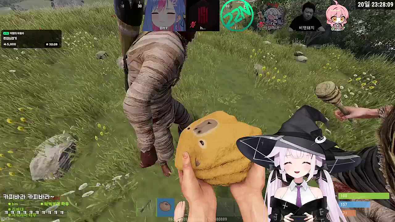 카피바라 ㅋㅋㅋㅋ