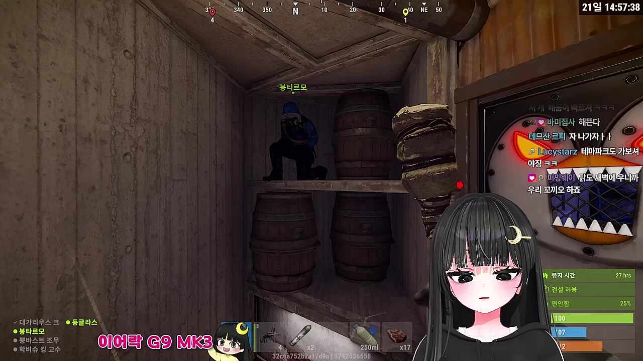 꼬끼오하는 둥이님