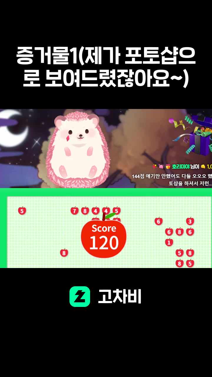 증거물1(제가 포토샵으로 보여드렸잖아요~)