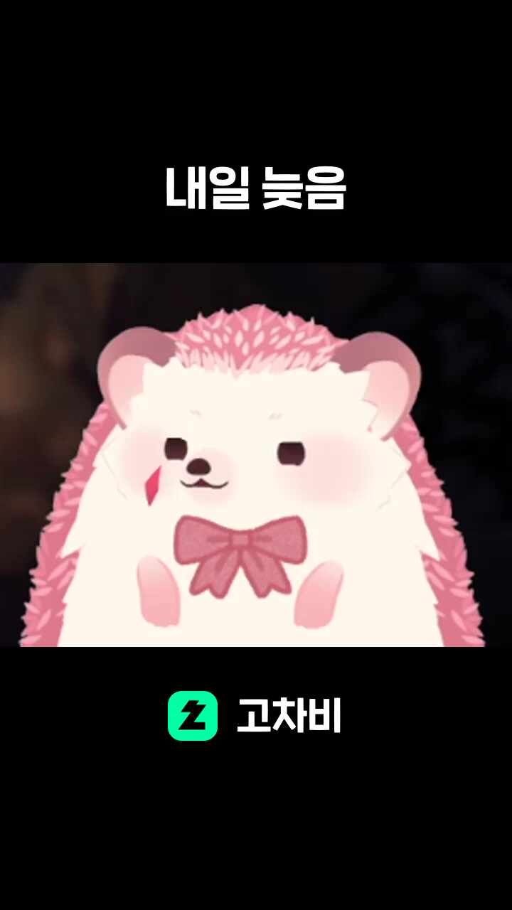 내일 늦음