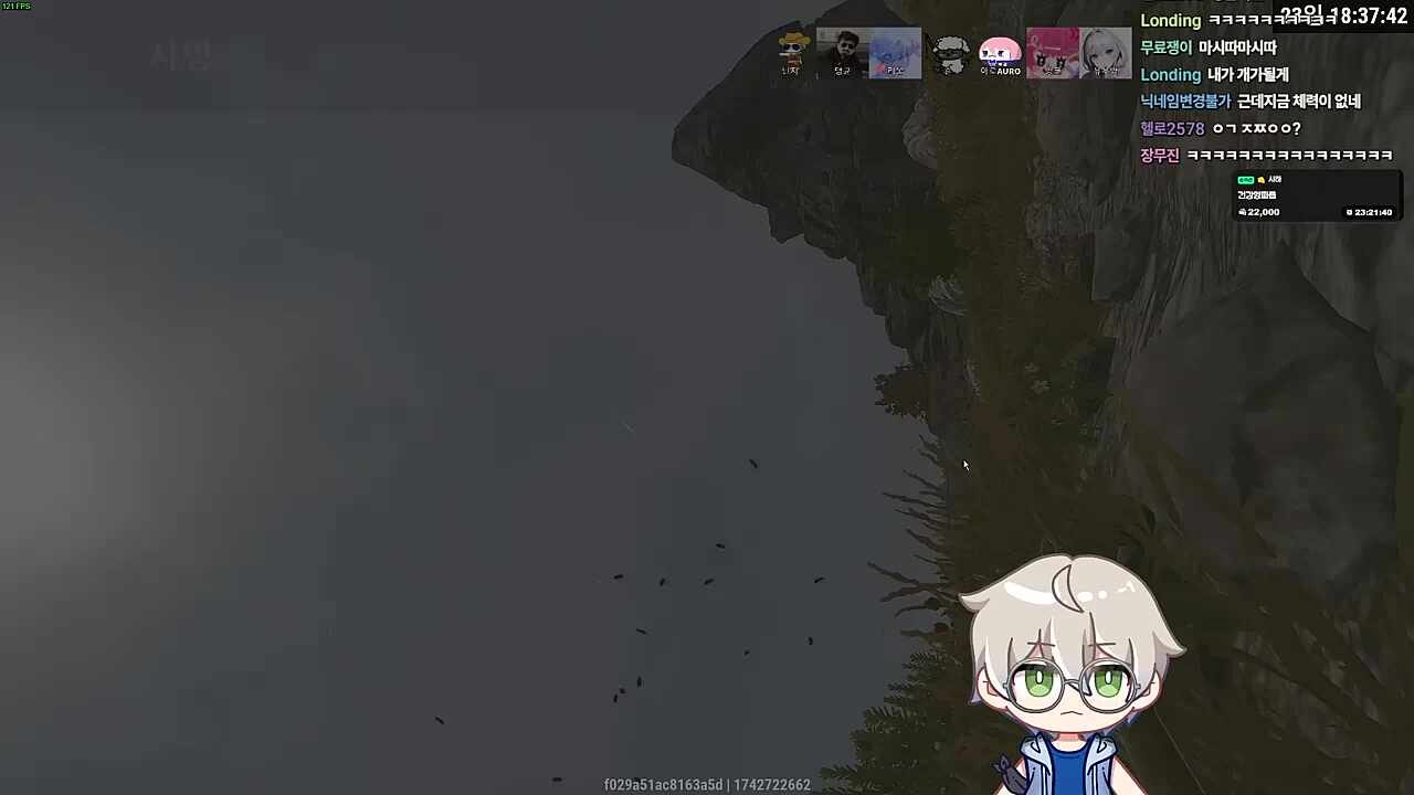벌에 쏘여 사망...