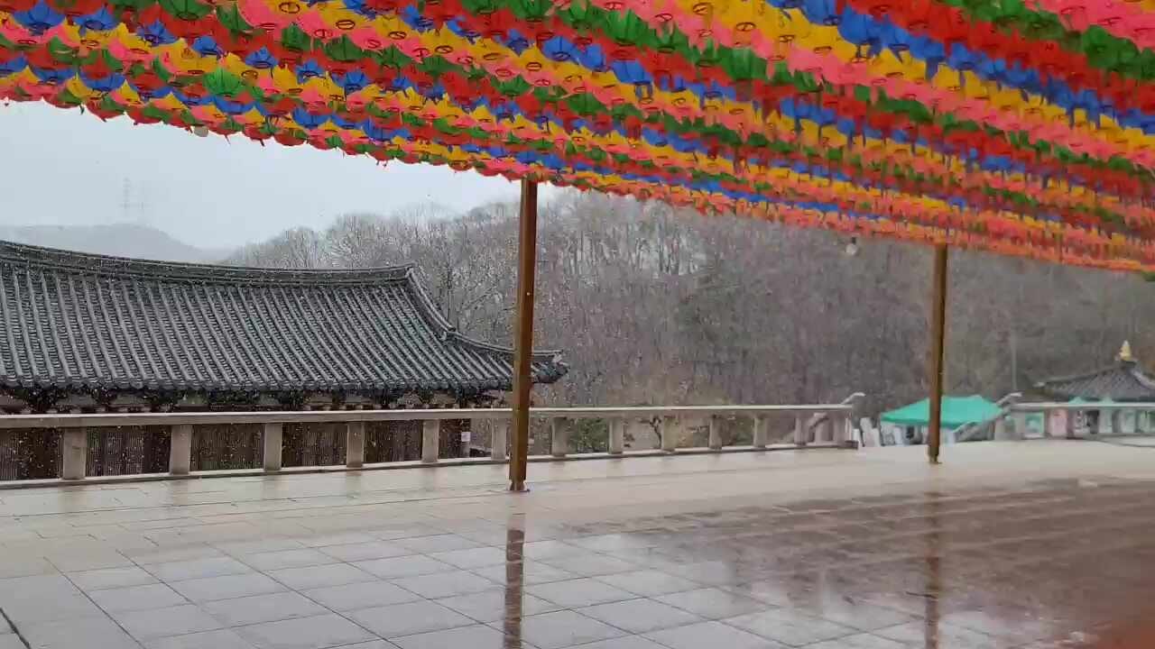 한초당한의원