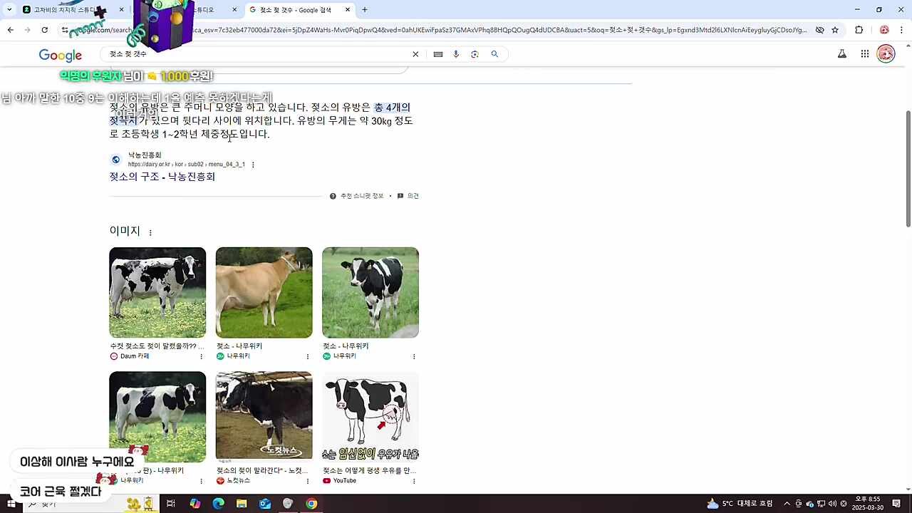 진짜 광기를 마주한 찹청자와 차비님