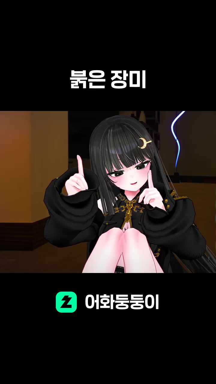 붉은 장미