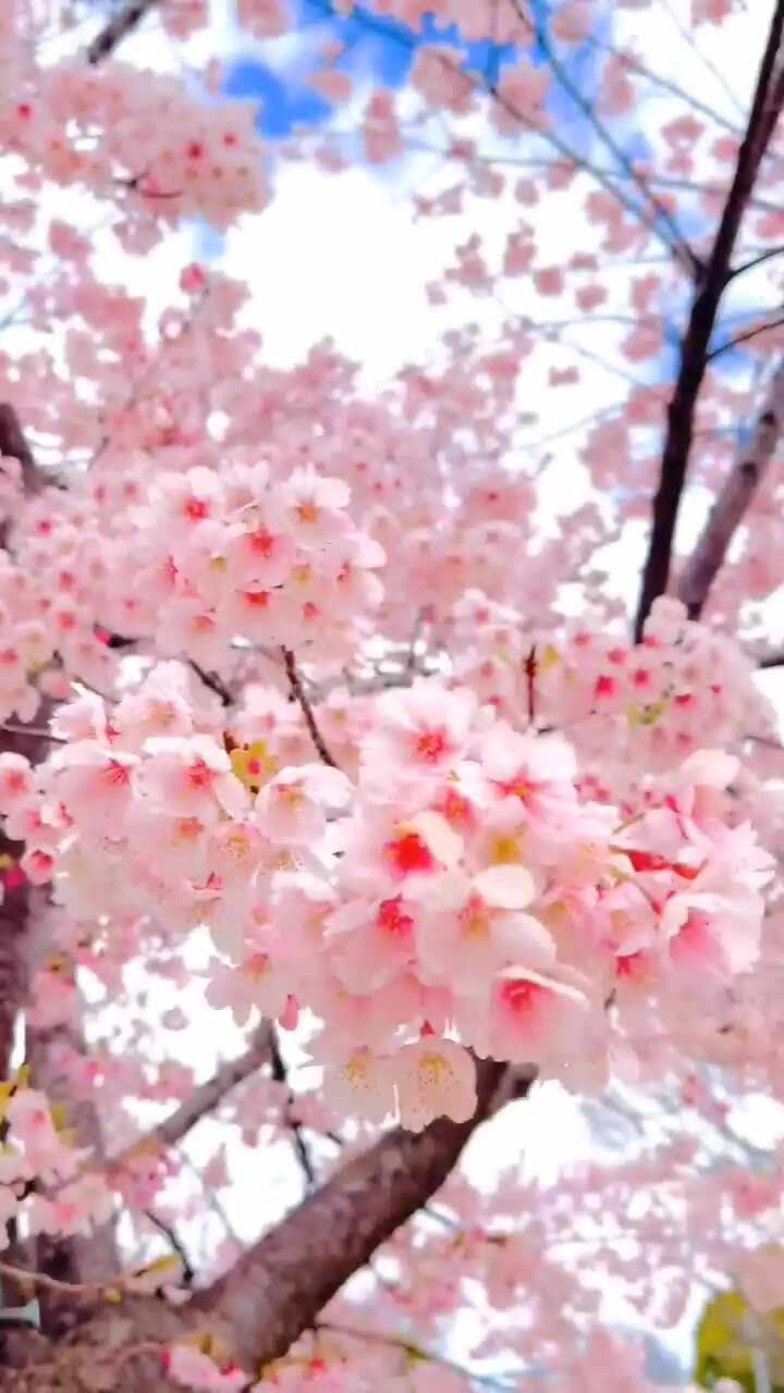 진월탑정형외과의원 이미지