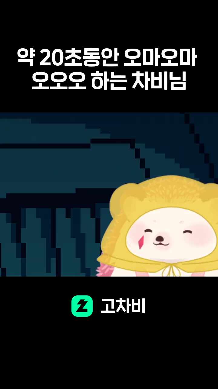약 20초동안 오마오마 오오오 하는 차비님