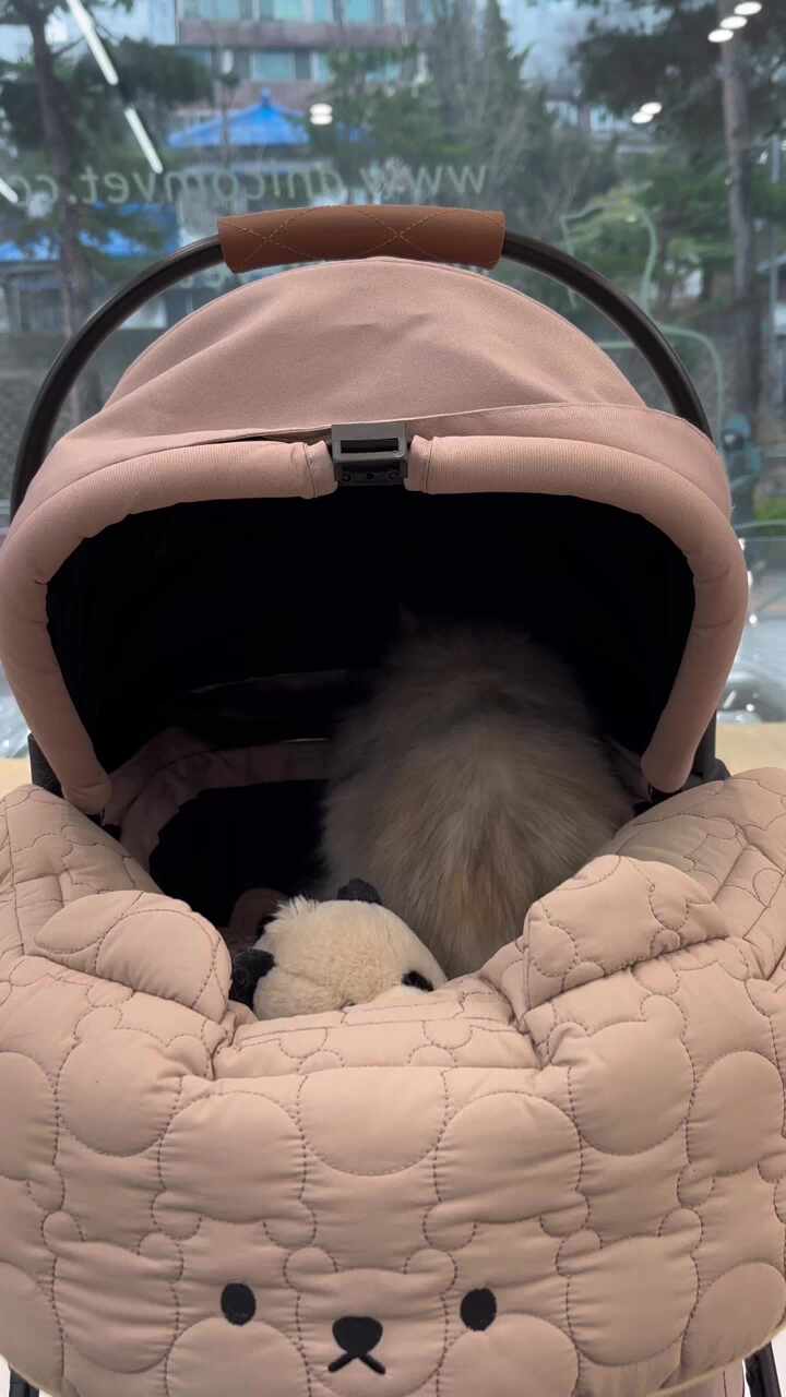 리뷰 사진 3