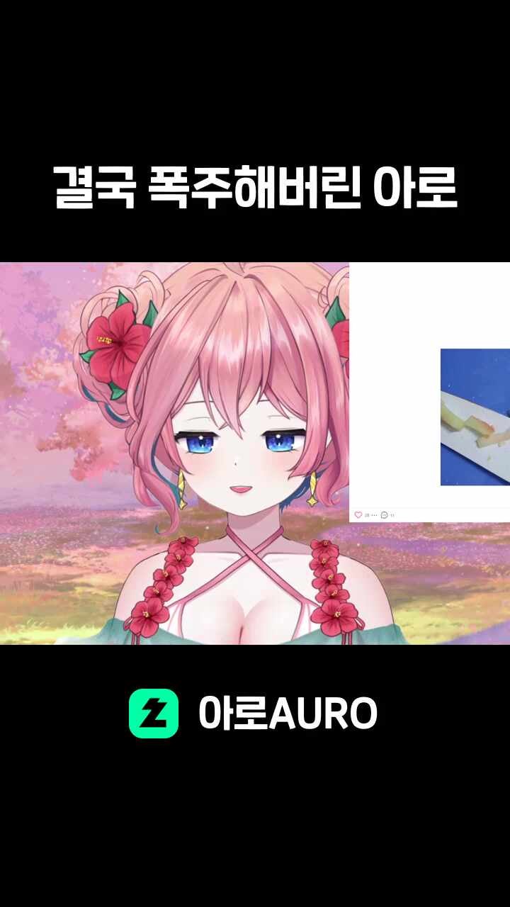 결국 폭주해버린 아로